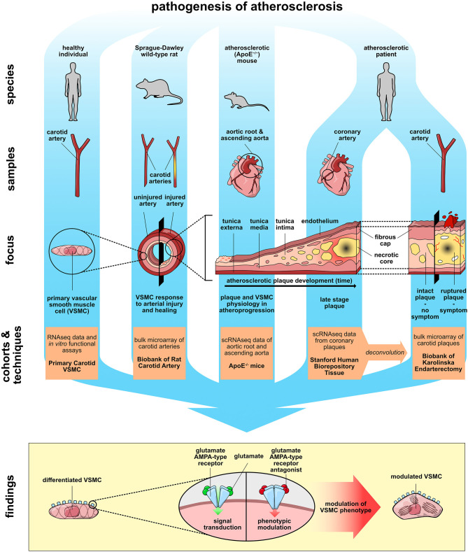 Graphical Abstract