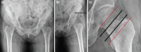 Fig. 6: