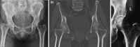 Fig. 2: