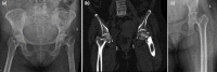 Fig. 4: