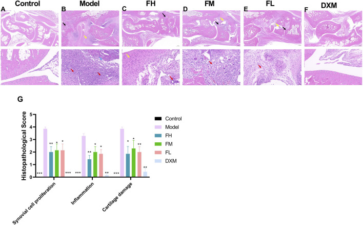 FIGURE 3