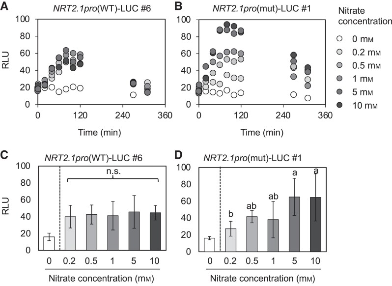 Figure 6.