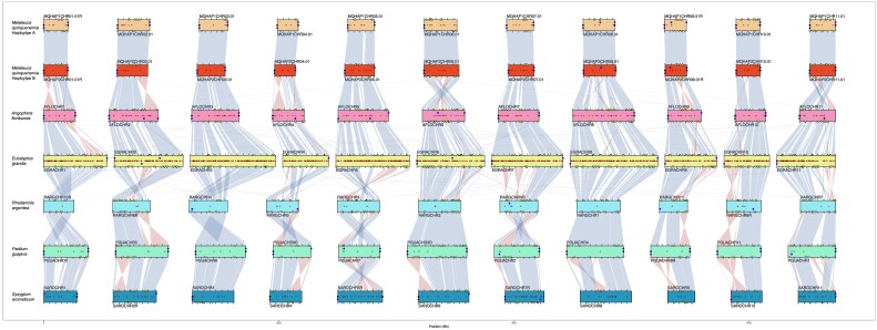 Figure 2: