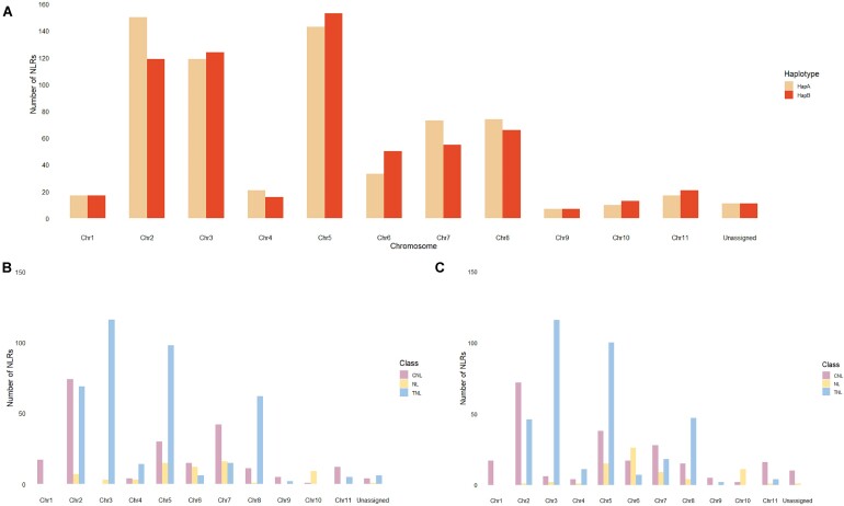 Figure 5: