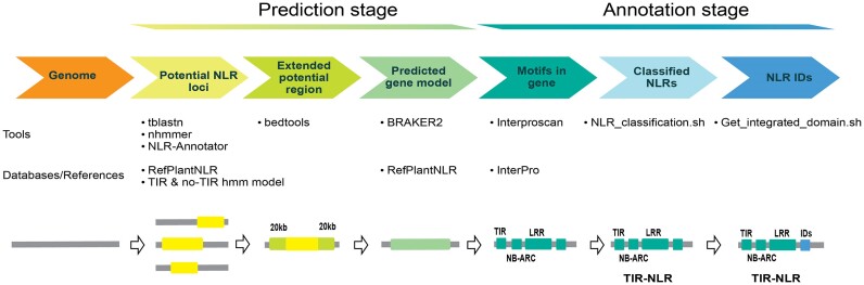 Figure 4: