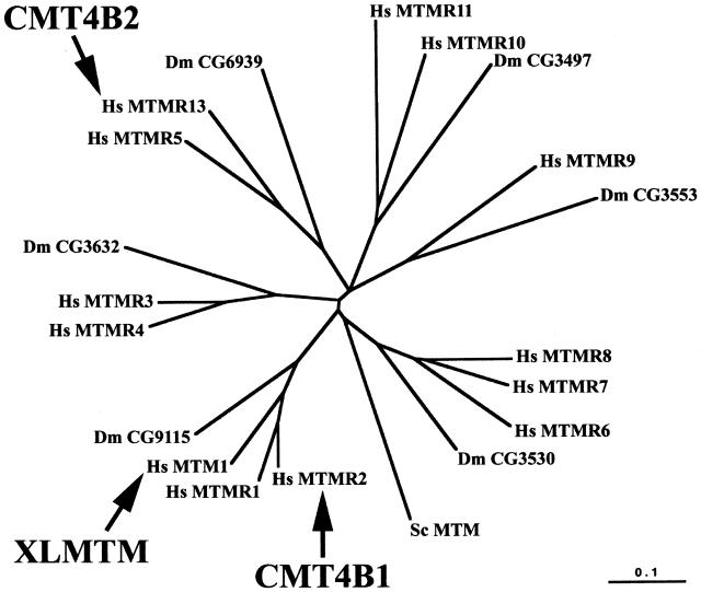 Figure  5