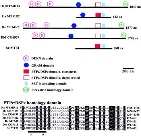 Figure  6