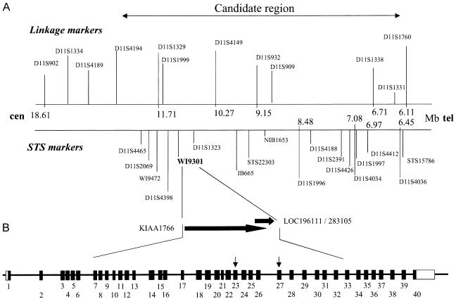 Figure  2