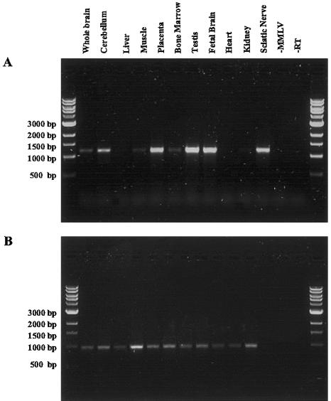 Figure  3