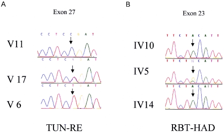 Figure  4