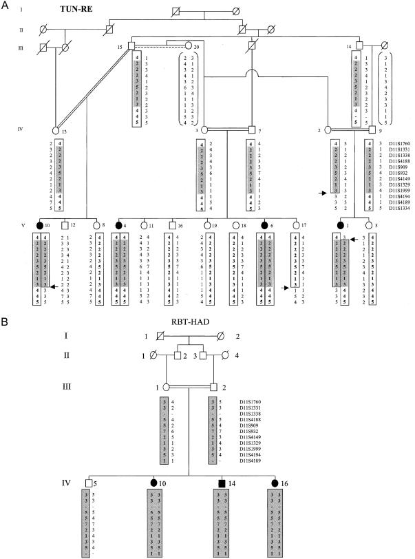 Figure  1