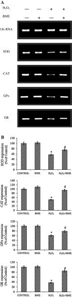 Fig. 7