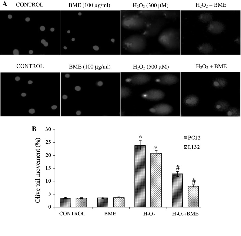 Fig. 6