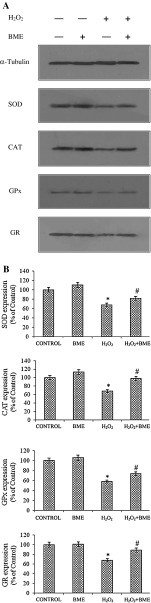 Fig. 8