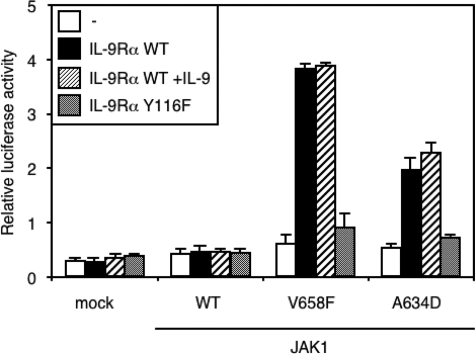 FIGURE 1.