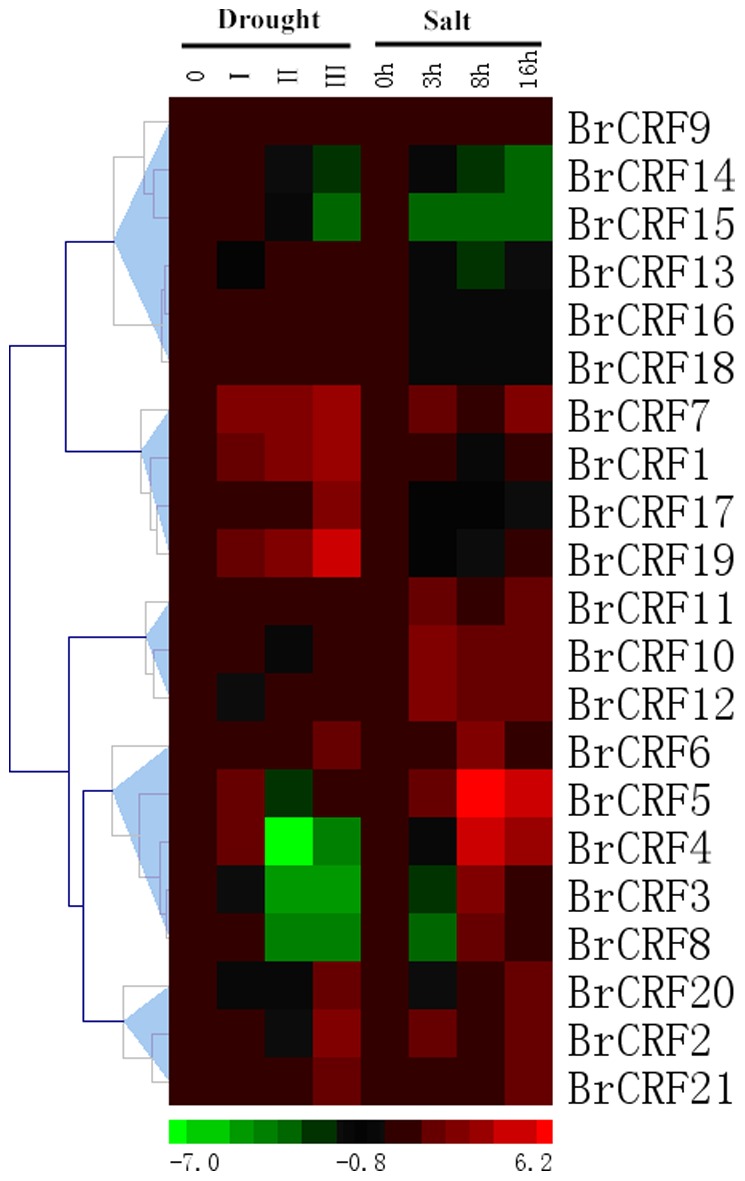 Figure 7