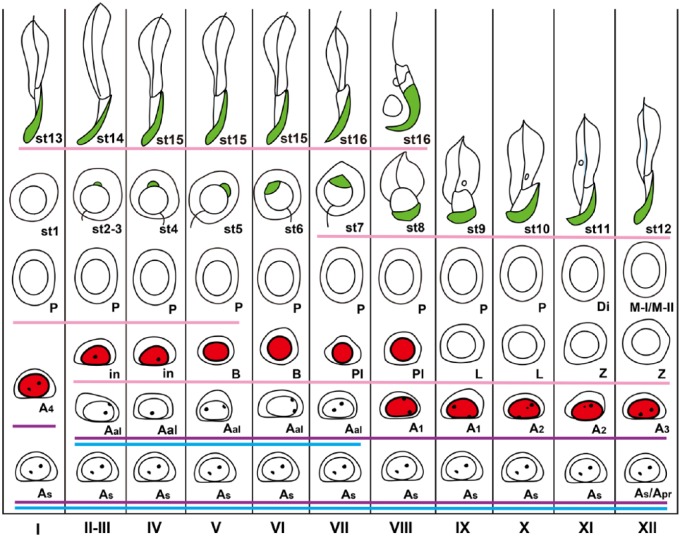 Figure 10.