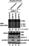 FIG 2