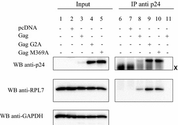 Fig. 4