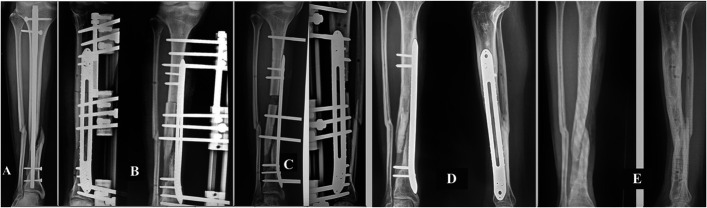 Fig. 5