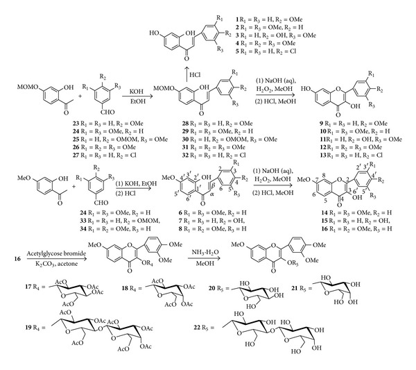 Scheme 1