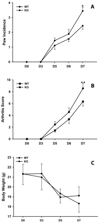 Fig.2