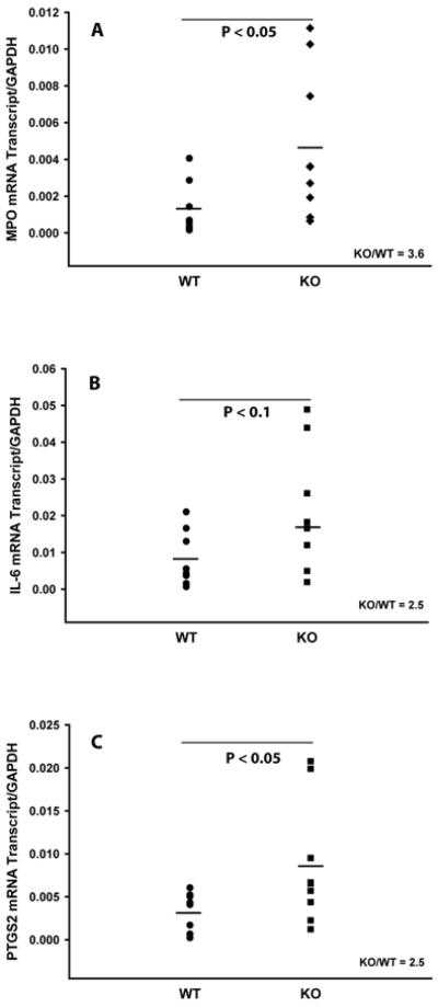 Fig.3