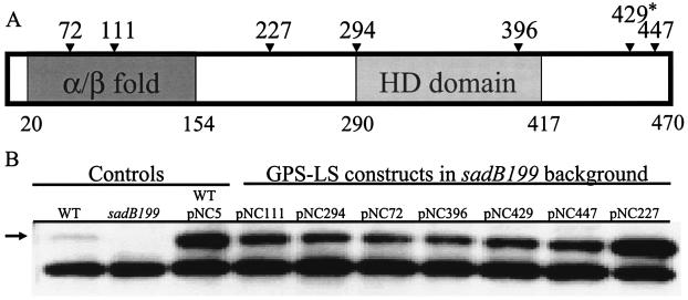 FIG. 6.