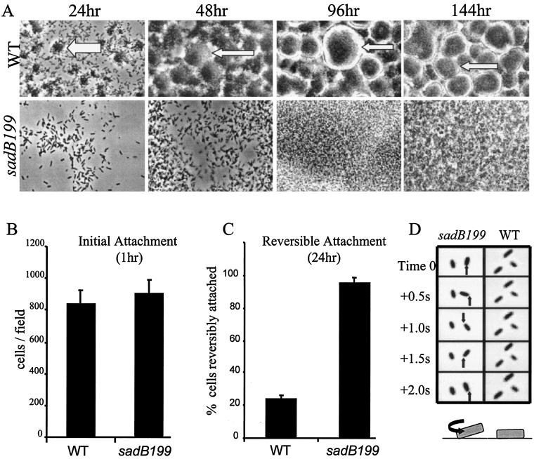 FIG. 2.