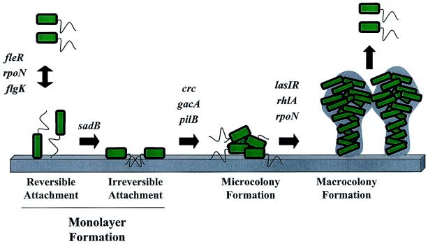 FIG. 7.