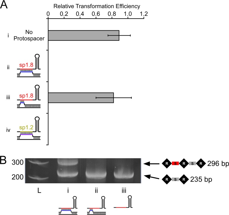 FIG 4 