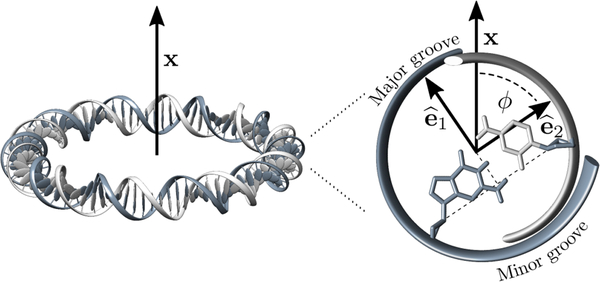 FIG. 1.