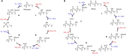 Fig. 5