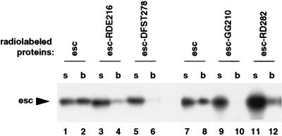 FIG. 6