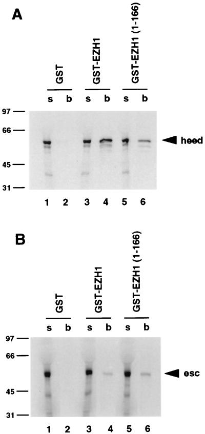 FIG. 7