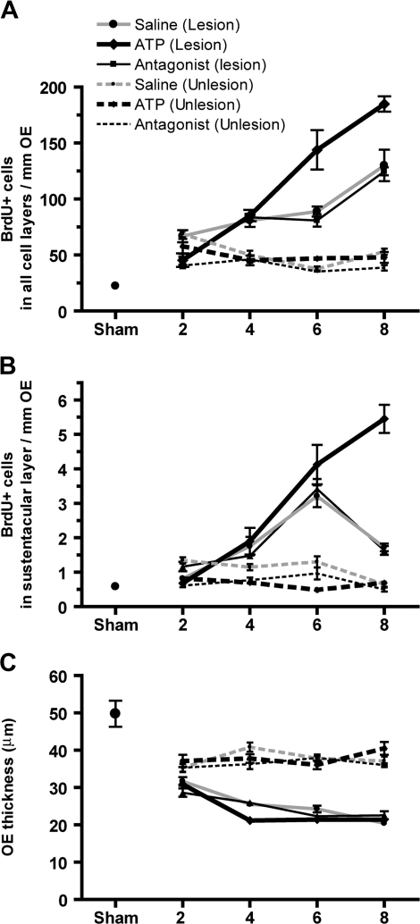 FIG. 7.