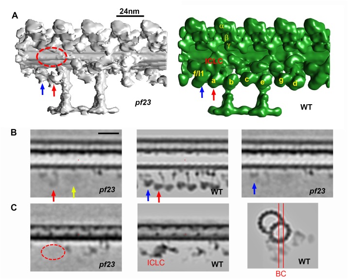 Fig 4