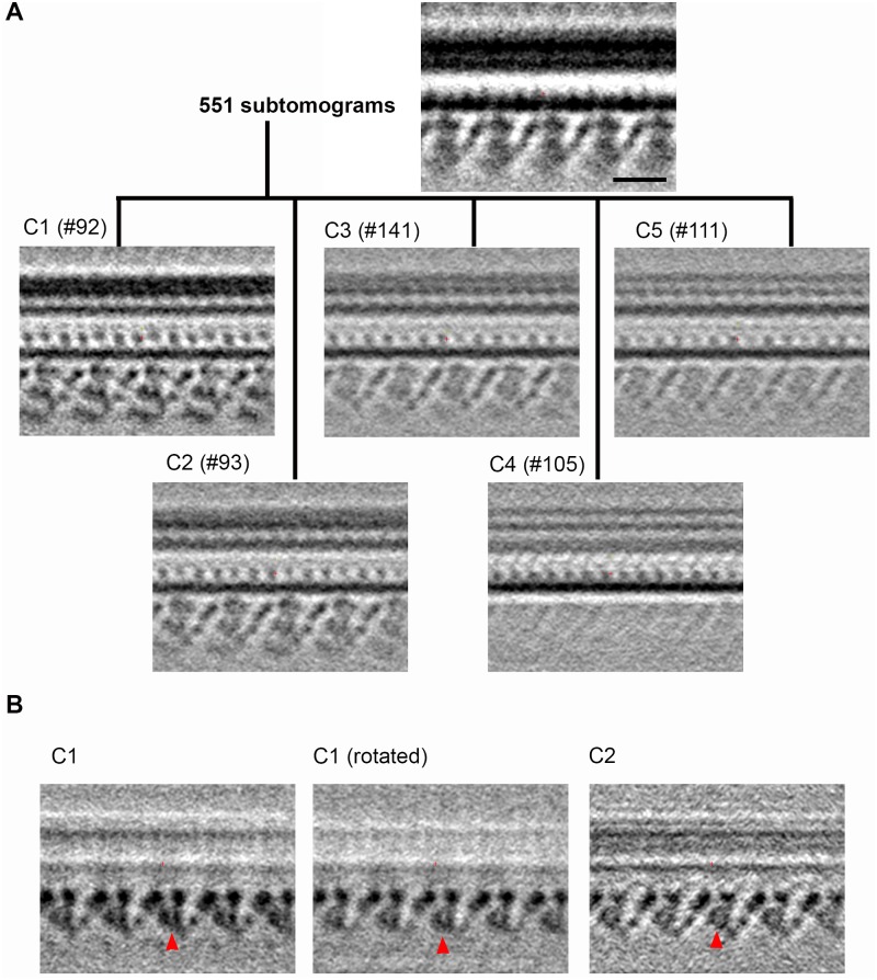 Fig 5