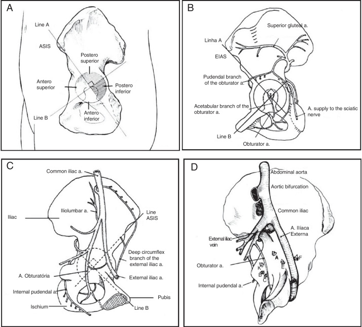 Fig. 4