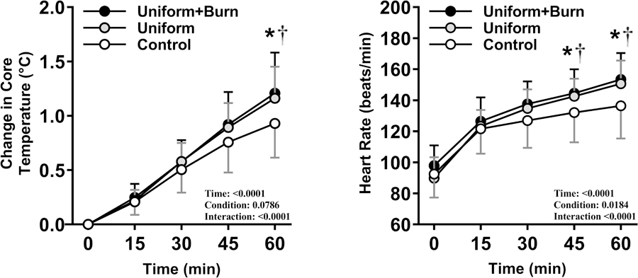 Figure 1—