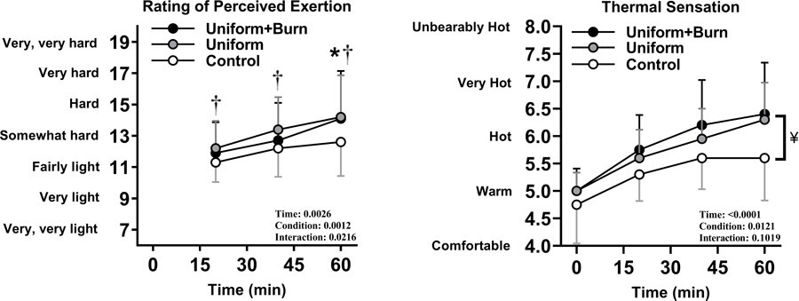 Figure 2—