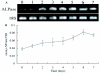 Figure 5: