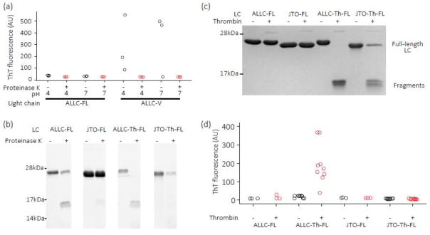 Fig. 10