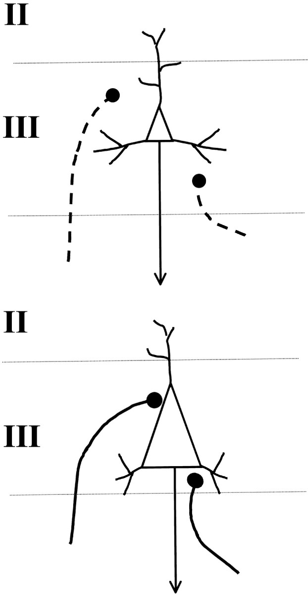 Fig. 9.