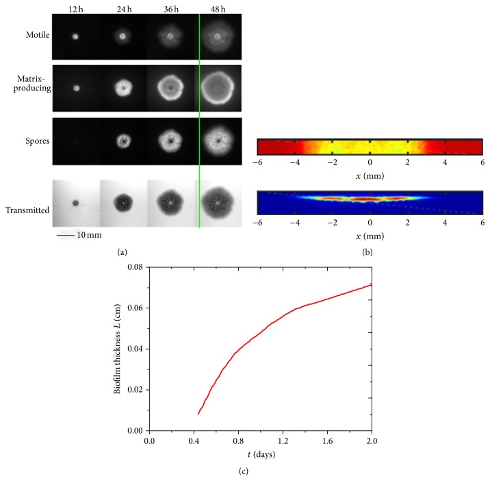 Figure 2