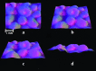 Fig. 2