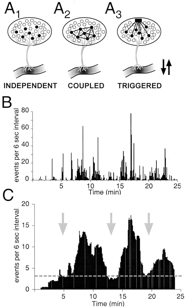 Fig. 9.