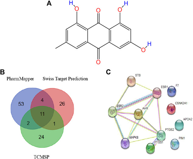 FIGURE 4