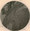 i2