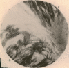 i2
